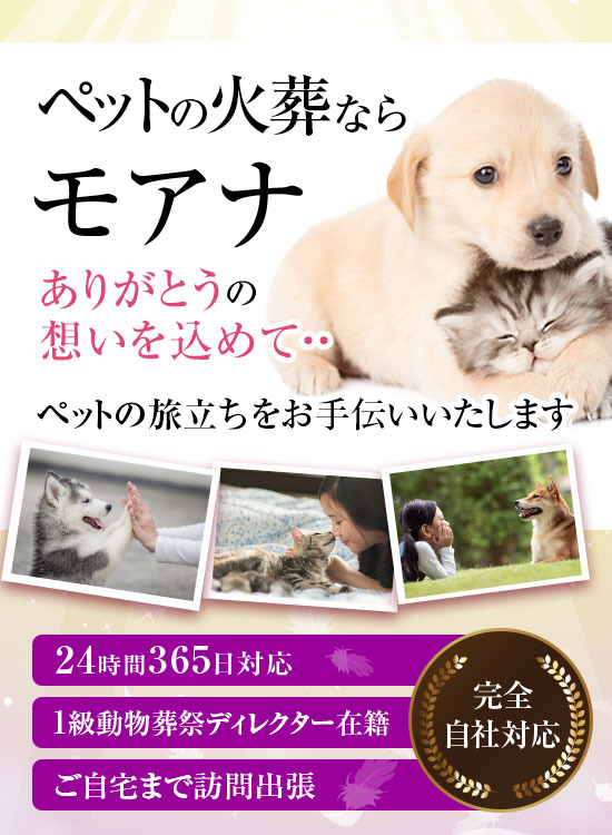 ペットセレモニーモアナのヘッダー画像