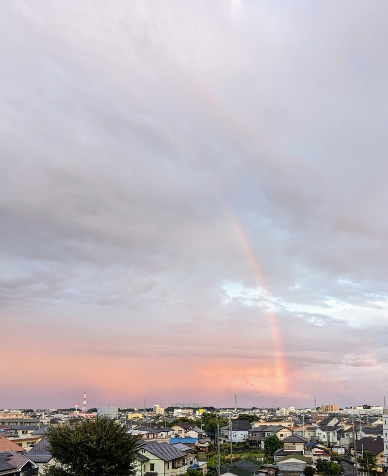 夕方の虹
